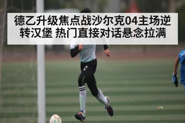 德乙升级焦点战沙尔克04主场逆转汉堡 热门直接对话悬念拉满